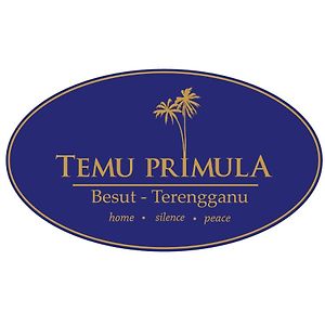 Temu Primula
